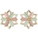 Earrings - by Coleman